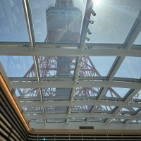 東京タワーがすぐそこに見えます！