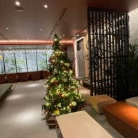 12月はキラキラと輝く大きなツリーが