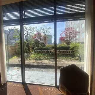 桜の前から庭を見た時の風景