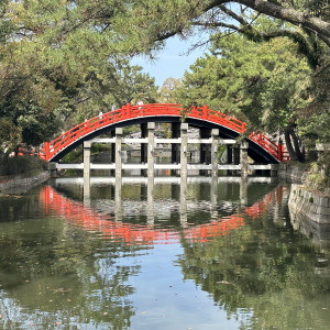 一番有名な太鼓橋|702711さんの住吉大社の写真(2135663)