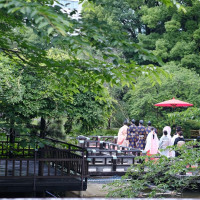 5月で新緑がとても綺麗でした！