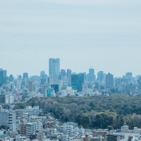 披露宴会場からの景色