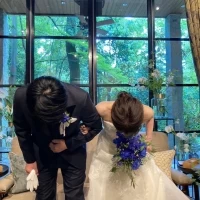 グリーンバックで写真が映える場所です