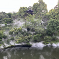 幻想的な庭園