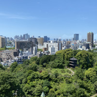 上層階からの景観