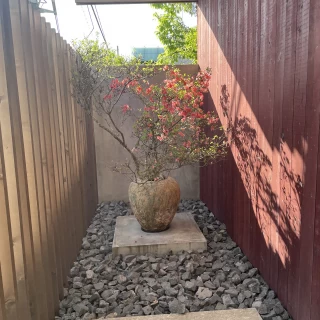 入り口を入ると大きな季節の花たち