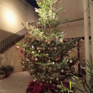 ガーデンのクリスマスツリー|704265さんのリストランテASO (ひらまつウエディング)の写真(2383436)