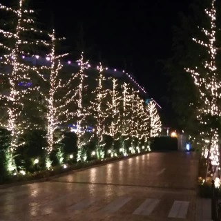 敷地内の夜景