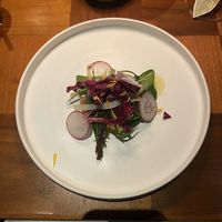 フルコースディナー試食会の料理