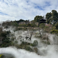 雲海