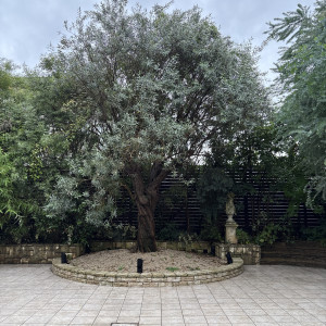 ガーデン|704765さんの京都ノーザンチャーチ北山教会の写真(2593857)