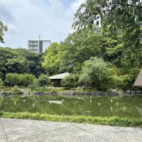 都会のオアシスです。
とても気持ちいいマイナスイオン