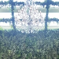 チャペル天井