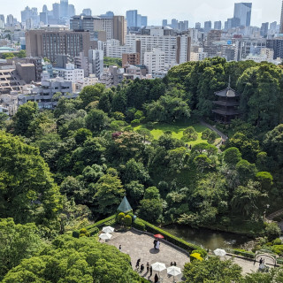 立体的な庭園です。建物内の至るところから見えます。