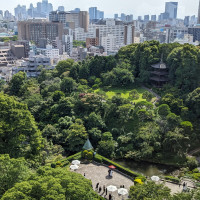 立体的な庭園です。建物内の至るところから見えます。