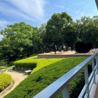 庭の景色