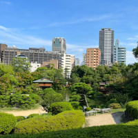 庭の景色