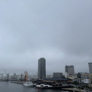 フラワーシャワーの場所から見える景色です