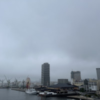 フラワーシャワーの場所から見える景色です