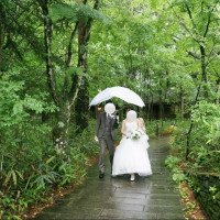 雨の日はかわいい傘がありました