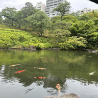 夏でもどこか涼しさをかんじます