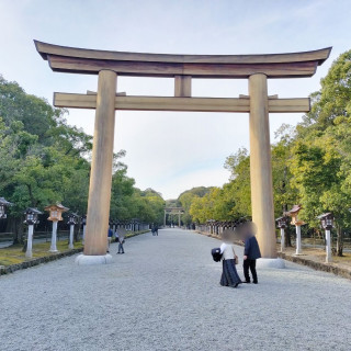 圧巻の鳥居