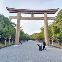 圧巻の鳥居