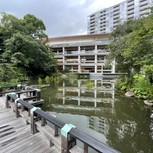 池もあり、鯉がたくさん泳いでいる|707626さんの東郷神社・ルアール東郷の写真(2186873)