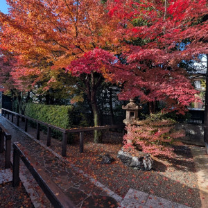 当日は遅めの紅葉が見頃でした。|707856さんの川原町倶楽部 ラ・ルーナピエーナ  〈エルフラットグループ〉の写真(2318369)