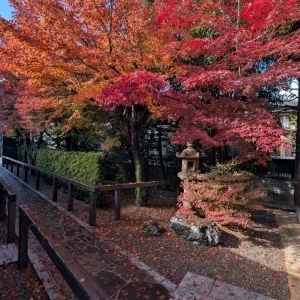 当日は遅めの紅葉が見頃でした。|707856さんの川原町倶楽部 ラ・ルーナピエーナ  〈エルフラットグループ〉の写真(2318369)