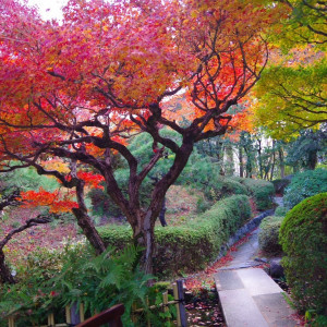 紅葉がきれいでした|708156さんのTHE GARDEN PLACE SOSHUEN（ザ・ガーデン・プレイス 蘇州園）の写真(2343080)