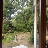 飾りつけが楽しそうなお庭でした。