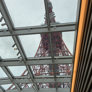 東京タワーがしっかり見える。雨じゃなくてよかった。