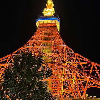 東京のシンボルはやっぱりこれ