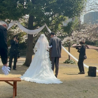 桜が咲いていました