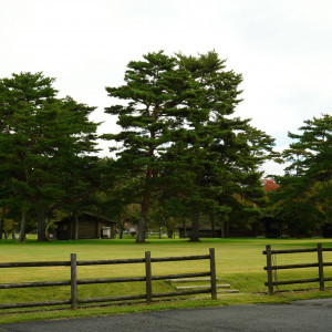 式場の敷地が広く、自然の中で写真を撮ってもらえる|709221さんの軽井沢プリンスホテル  フォレスターナ軽井沢の写真(2274994)