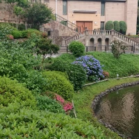池の周り