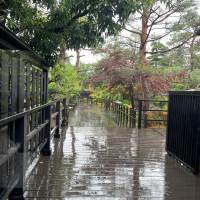 雨の日の中庭