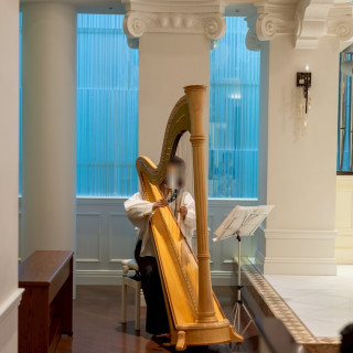 ハープの生演奏