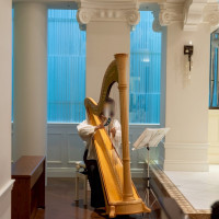 ハープの生演奏