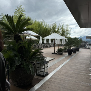 ガーデン|709755さんのラソールガーデン熊本（LAZOR GARDEN KUMAMOTO）の写真(2184650)