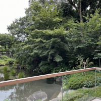 テラスから見た庭園