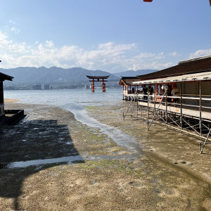 干潮時の鳥居|709917さんの厳島神社の写真(2251206)