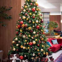 ロビーのクリスマスツリー