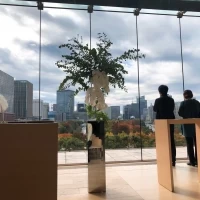 皇居の緑と東京駅の景観が素敵でした