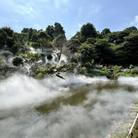 夏でも、池があり、ミストでの演出があり、涼しく感じられます。