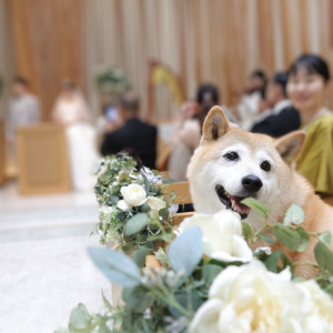 リングドッグ後|710804さんの山手迎賓館（神戸）/テイクアンドギヴ・ニーズウェディングの写真(2192150)