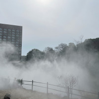 庭園で行われる雲海の演出