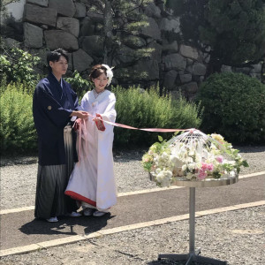 鳩とばし|710845さんの岸和田グランドホールの写真(2191393)