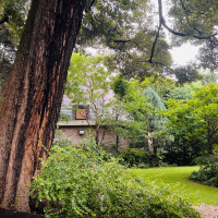 披露宴から見える庭です。